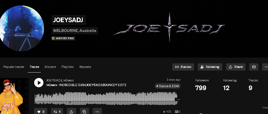 JOEYSADJ artist profile campaign screenshot